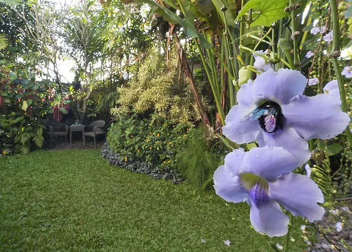 Shinta Dewi By Sanga Sanga Hospitality Villa
